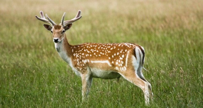 Generic placeholder image